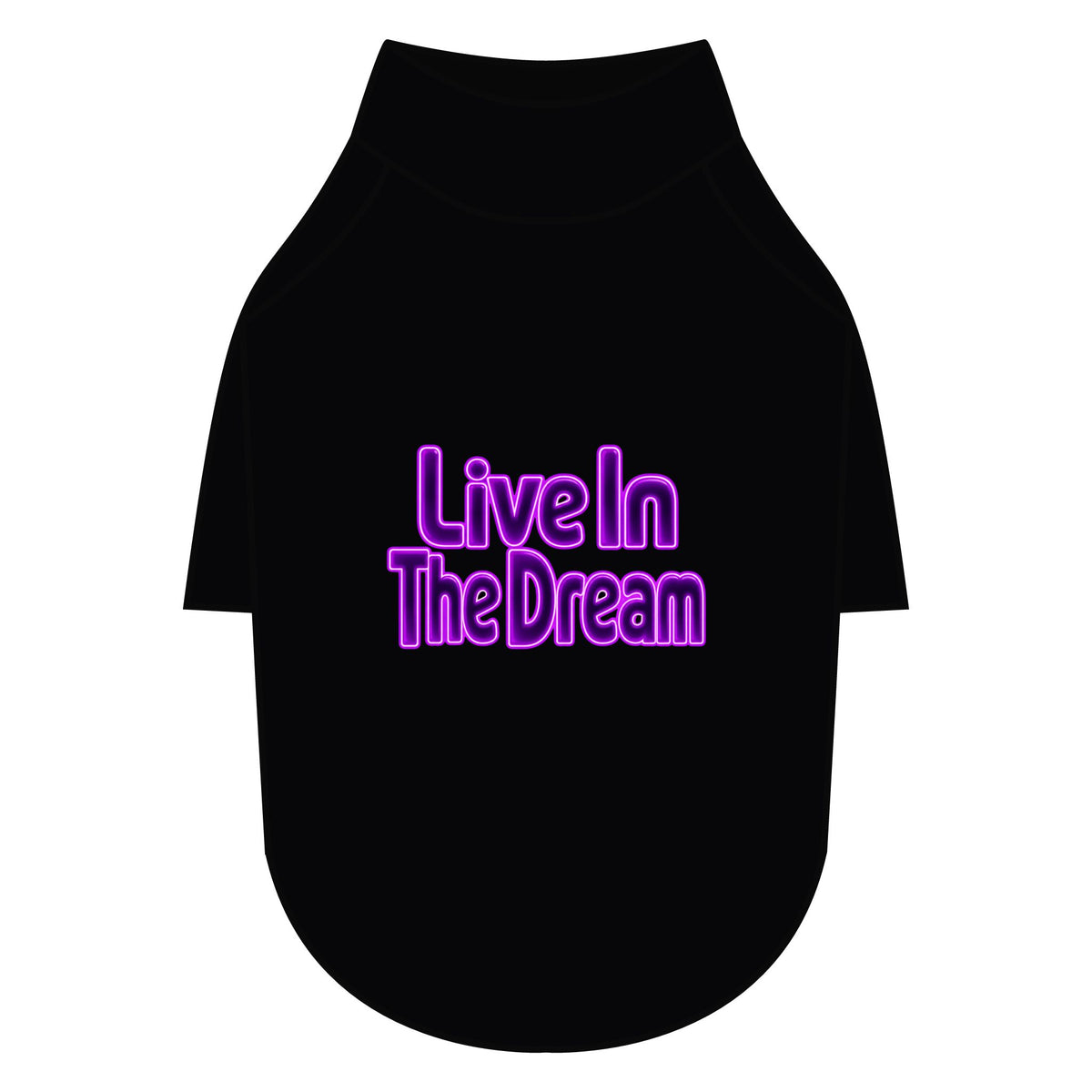 Live in the Dream Pet Raglan T-Shirt