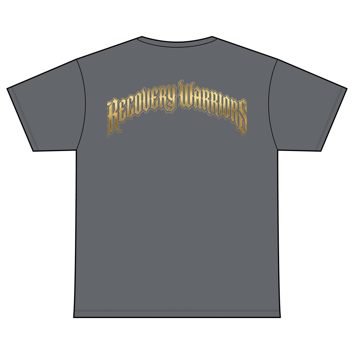 Recovery Warriors T-Shirt — Courage, Vision, Resilience Lion Design