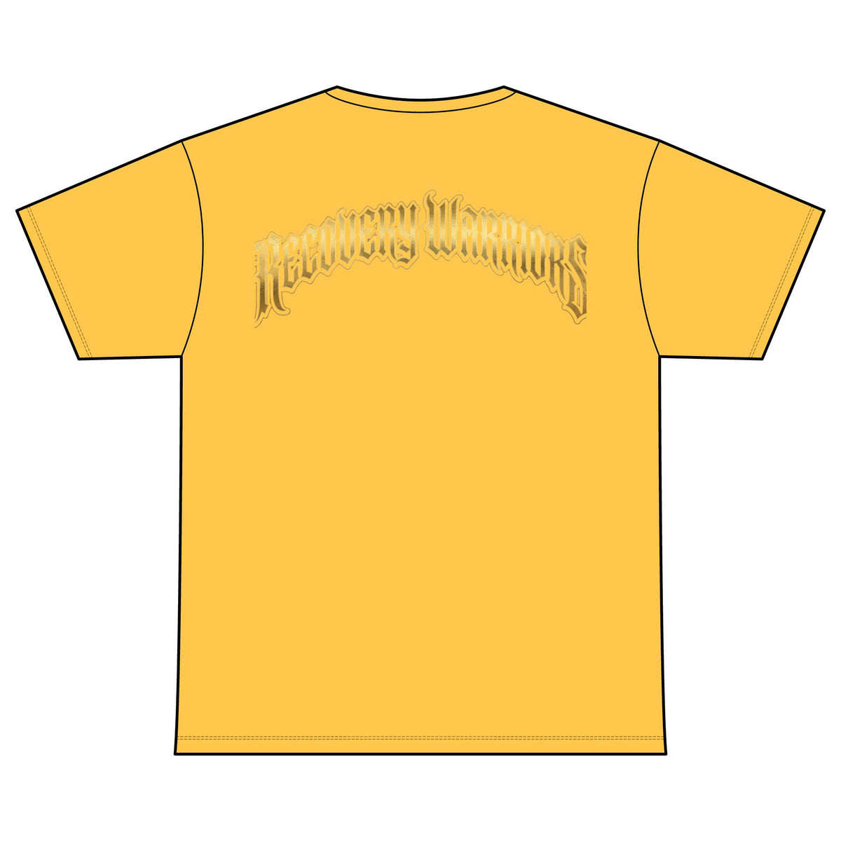 Recovery Warriors T-Shirt — Courage, Vision, Resilience Lion Design