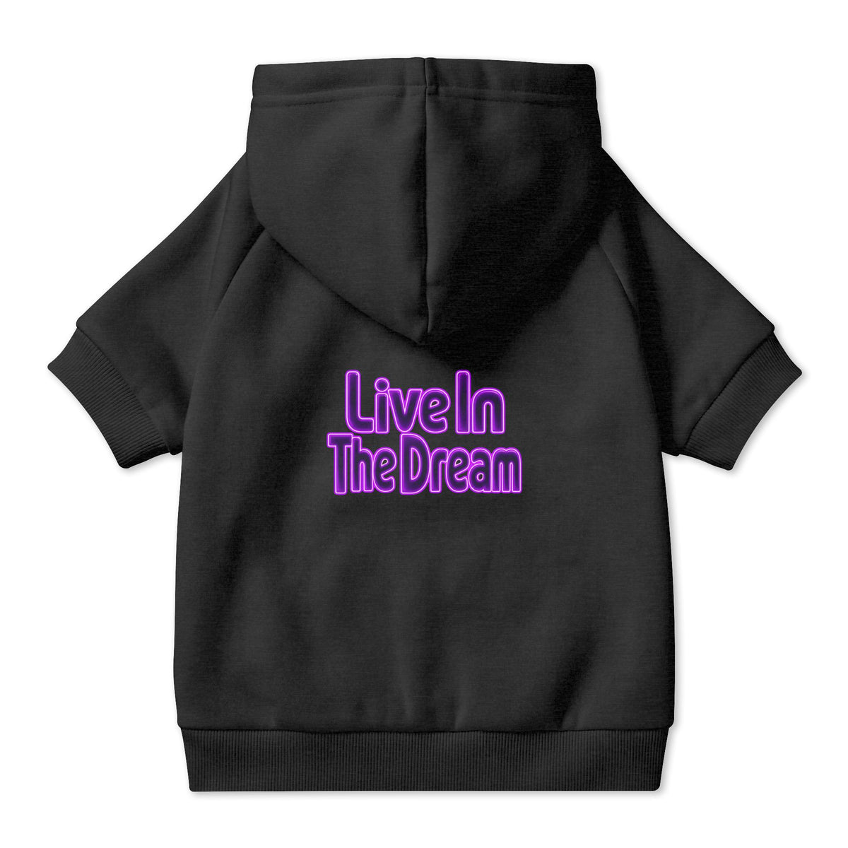 Live in the Dream Pet Hoodie