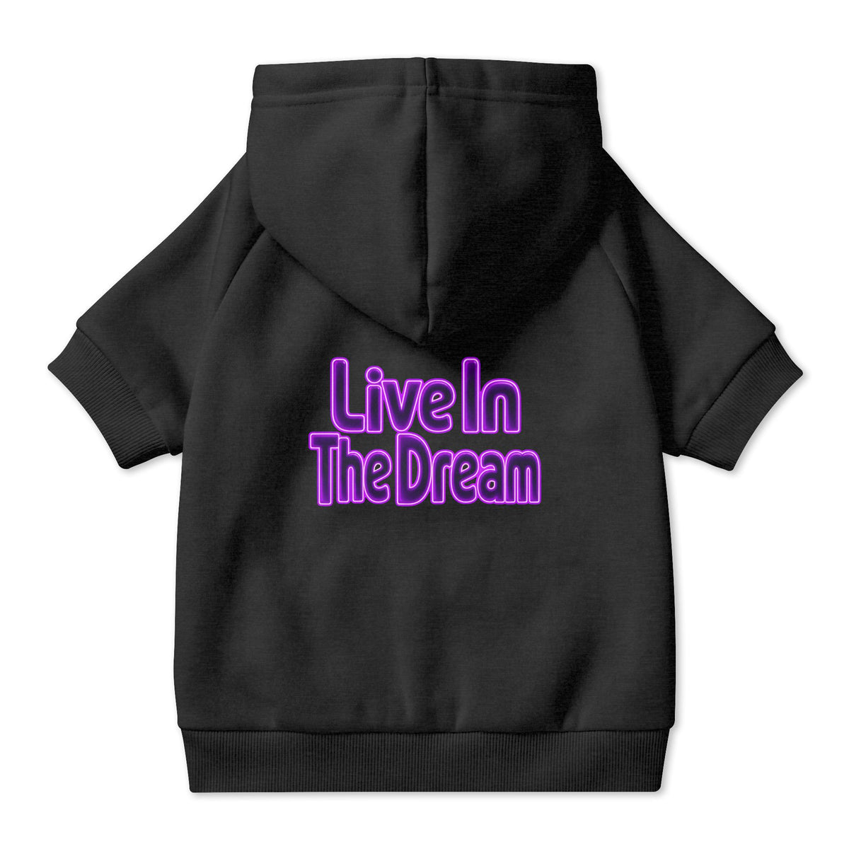 Live in the Dream Pet Hoodie